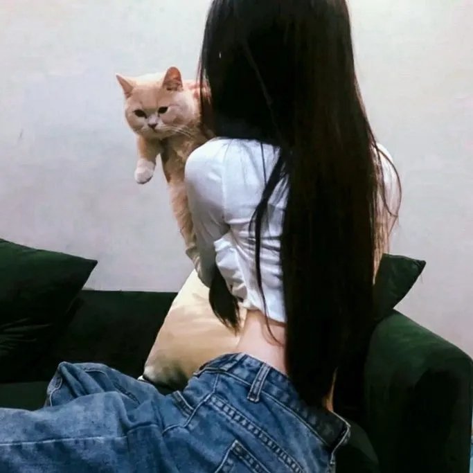 酷狗马马杜
